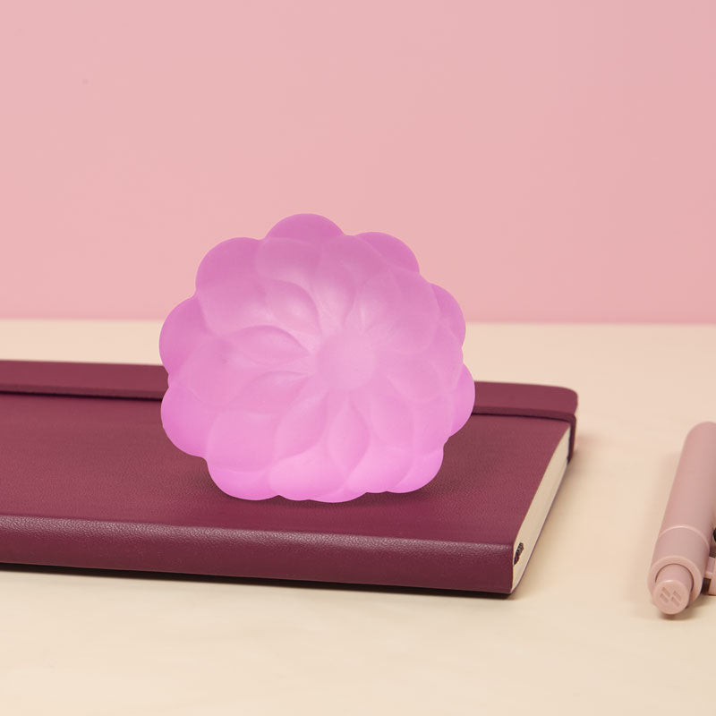 Gump Surface - Image 8